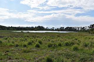 Fechas, información, programa, cartel, imágenes, mapa y ubicación de Observatorio Ornitológico Lago Caque  en  Castro de Rei
