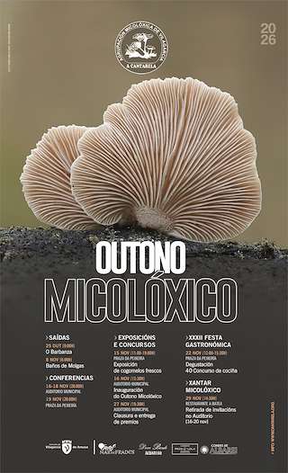 Outono Micolóxico