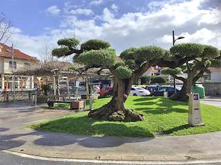 Fechas, información, programa, cartel, imágenes, mapa y ubicación de Parque da Feira  en  Nigrán