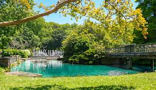 Fechas, información, programa, cartel, imágenes, mapa y ubicación de Parque de Castrelos (2023)  en  Vigo