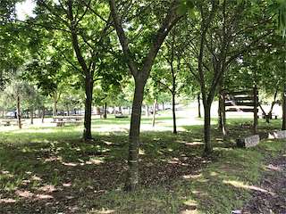 Fechas, información, programa, cartel, imágenes, mapa y ubicación de Parque Forestal Bandeira  en  Vigo