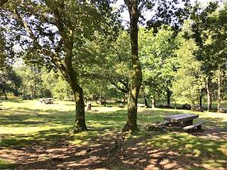 Fechas, información, programa, cartel, imágenes, mapa y ubicación de Parque Forestal de Bembrive  en  Vigo