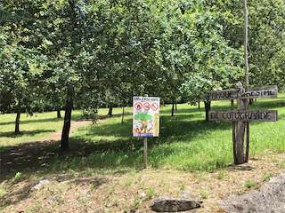 Fechas, información, programa, cartel, imágenes, mapa y ubicación de Parque Forestal de Cotogrande  en  Vigo