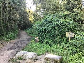 Fechas, información, programa, cartel, imágenes, mapa y ubicación de Paseo del Río Gafos  en  Pontevedra