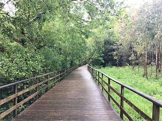 Fechas, información, programa, cartel, imágenes, mapa y ubicación de Paseo Fluvial do Río Xubia  en  San Sadurniño