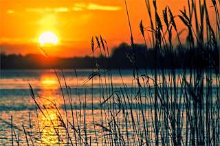 Fechas, información, programa, cartel, imágenes, mapa y ubicación de Paseo Marítimo de Xuvia (2019)  en  Narón