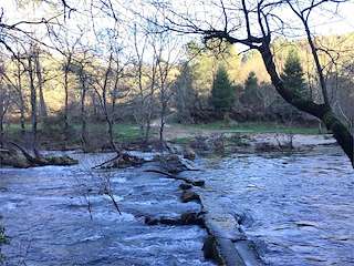Fechas, información, programa, cartel, imágenes, mapa y ubicación de Pasos de Castelans  en  Covelo