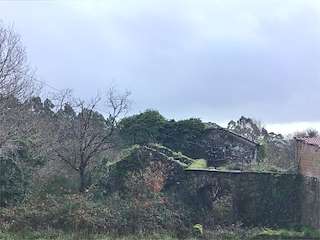 Fechas, información, programa, cartel, imágenes, mapa y ubicación de Pazo de Trasouteiro  en  Brión