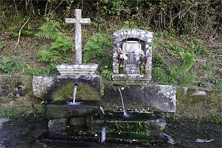 Fechas, información, programa, cartel, imágenes, mapa y ubicación de Peto de Amil  en  Moraña