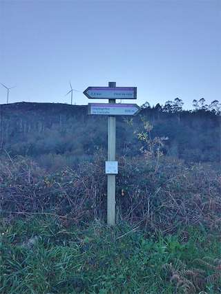 Fechas, información, programa, cartel, imágenes, mapa y ubicación de Petroglifo Carballa da Cova  en  Outes