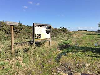 Fechas, información, programa, cartel, imágenes, mapa y ubicación de Petroglifo Chan da Gurgulla