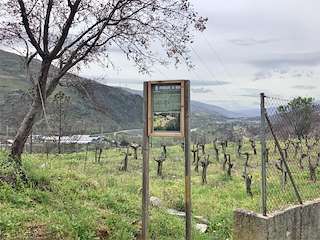 Fechas, información, programa, cartel, imágenes, mapa y ubicación de Petroglifo da Raia  en  O Barco de Valdeorras