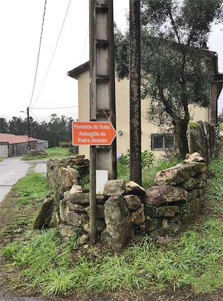 Fechas, información, programa, cartel, imágenes, mapa y ubicación de Petroglifo de Pedra Xestosa (2022)  en  Laxe