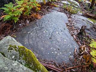 Fechas, información, programa, cartel, imágenes, mapa y ubicación de Petroglifo Outeiro do Xuviño  en  Poio