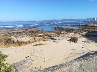 Fechas, información, programa, cartel, imágenes, mapa y ubicación de Playa A Buraca  en  Vigo