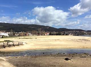 Fechas, información, programa, cartel, imágenes, mapa y ubicación de Playa A Xunqueira  en  Moaña