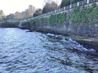 Fechas, información, programa, cartel, imágenes, mapa y ubicación de Playa Areíño - A Guía  en  Vigo