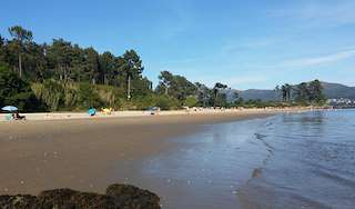 Fechas, información, programa, cartel, imágenes, mapa y ubicación de Playa As Cunchas  en  Rianxo