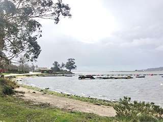 Fechas, información, programa, cartel, imágenes, mapa y ubicación de Playa Con de Sido  en  Cambados