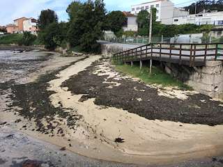 Fechas, información, programa, cartel, imágenes, mapa y ubicación de Playa de A Seca  en  Poio