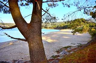 Fechas, información, programa, cartel, imágenes, mapa y ubicación de Playa de Broña  en  Outes