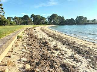 Fechas, información, programa, cartel, imágenes, mapa y ubicación de Playa de Mourisca  en  O Grove