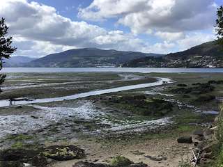 Fechas, información, programa, cartel, imágenes, mapa y ubicación de Playa de Pazos  en  Vilaboa