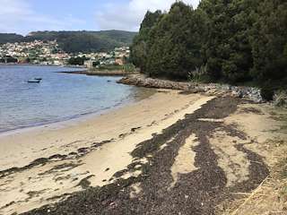 Fechas, información, programa, cartel, imágenes, mapa y ubicación de Playa do Mouro  en  Moaña