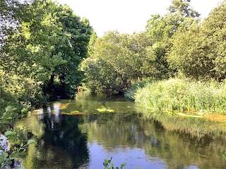 Fechas, información, programa, cartel, imágenes, mapa y ubicación de Playa Fluvial de Lantaño  en  Portas