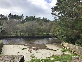 Fechas, información, programa, cartel, imágenes, mapa y ubicación de Playa Fluvial de San Salvador  en  Santa Comba