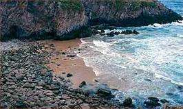 Fechas, información, programa, cartel, imágenes, mapa y ubicación de Playa Hortiña  en  Narón