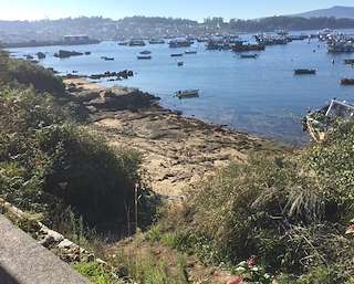 Fechas, información, programa, cartel, imágenes, mapa y ubicación de Playa Lagartiño  en  Illa de Arousa