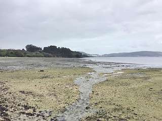 Fechas, información, programa, cartel, imágenes, mapa y ubicación de Playa Maniños / Garita  en  Fene