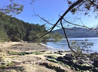 Fechas, información, programa, cartel, imágenes, mapa y ubicación de Playa O Picouso  en  Outes