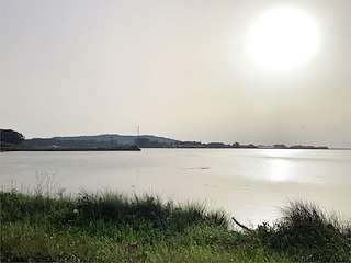 Fechas, información, programa, cartel, imágenes, mapa y ubicación de Playa Pereiro  en  Cambados