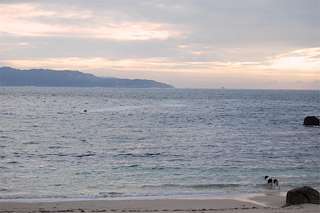 Fechas, información, programa, cartel, imágenes, mapa y ubicación de Playa Porto Ancoradoiro  en  Muros