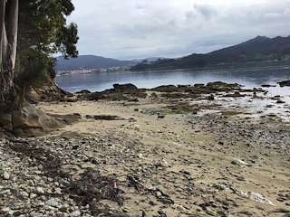 Fechas, información, programa, cartel, imágenes, mapa y ubicación de Playa Punta Cabalo  en  Vilaboa