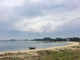 Fechas, información, programa, cartel, imágenes, mapa y ubicación de Playa Riason  en  A Illa de Arousa