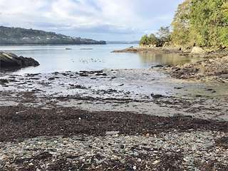 Fechas, información, programa, cartel, imágenes, mapa y ubicación de Playa Río Castro  en  Cabanas