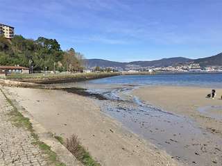Fechas, información, programa, cartel, imágenes, mapa y ubicación de Playa Ríos de Fora  en  Vigo