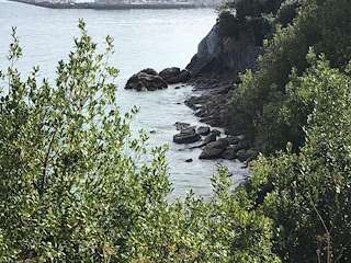 Fechas, información, programa, cartel, imágenes, mapa y ubicación de Playa Robaleira Pequena  en  Bueu