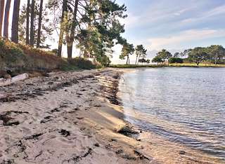 Fechas, información, programa, cartel, imágenes, mapa y ubicación de Playa San Marcial  en  O Grove