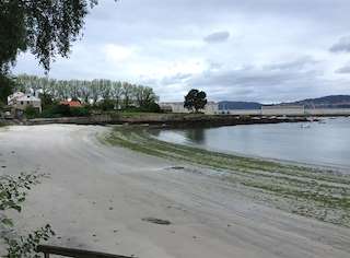 Fechas, información, programa, cartel, imágenes, mapa y ubicación de Playa Santa Baia  en  Vigo