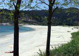 Fechas, información, programa, cartel, imágenes, mapa y ubicación de Playa Santa Marta  en  Cangas de Morrazo