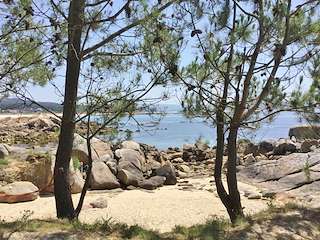 Fechas, información, programa, cartel, imágenes, mapa y ubicación de Playa Seixeliño  en  O Grove