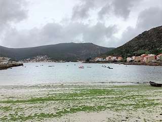 Fechas, información, programa, cartel, imágenes, mapa y ubicación de Playa Sinal-Pindo  en  Carnota