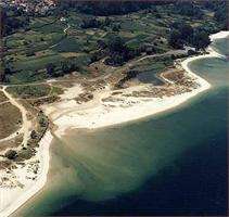 Fechas, información, programa, cartel, imágenes, mapa y ubicación de Playa Testal  en  Noia