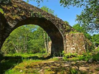 Fechas, información, programa, cartel, imágenes, mapa y ubicación de Ponte Medieval de Pedre  en  Cerdedo-Cotobade