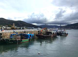 Fechas, información, programa, cartel, imágenes, mapa y ubicación de Porto de Domaio  en  Moaña