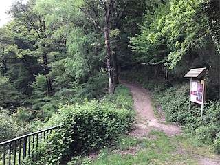 Fechas, información, programa, cartel, imágenes, mapa y ubicación de PR-G 24 - Ruta Tras os Pasos do Río Xesta (2022)  en  A Lama